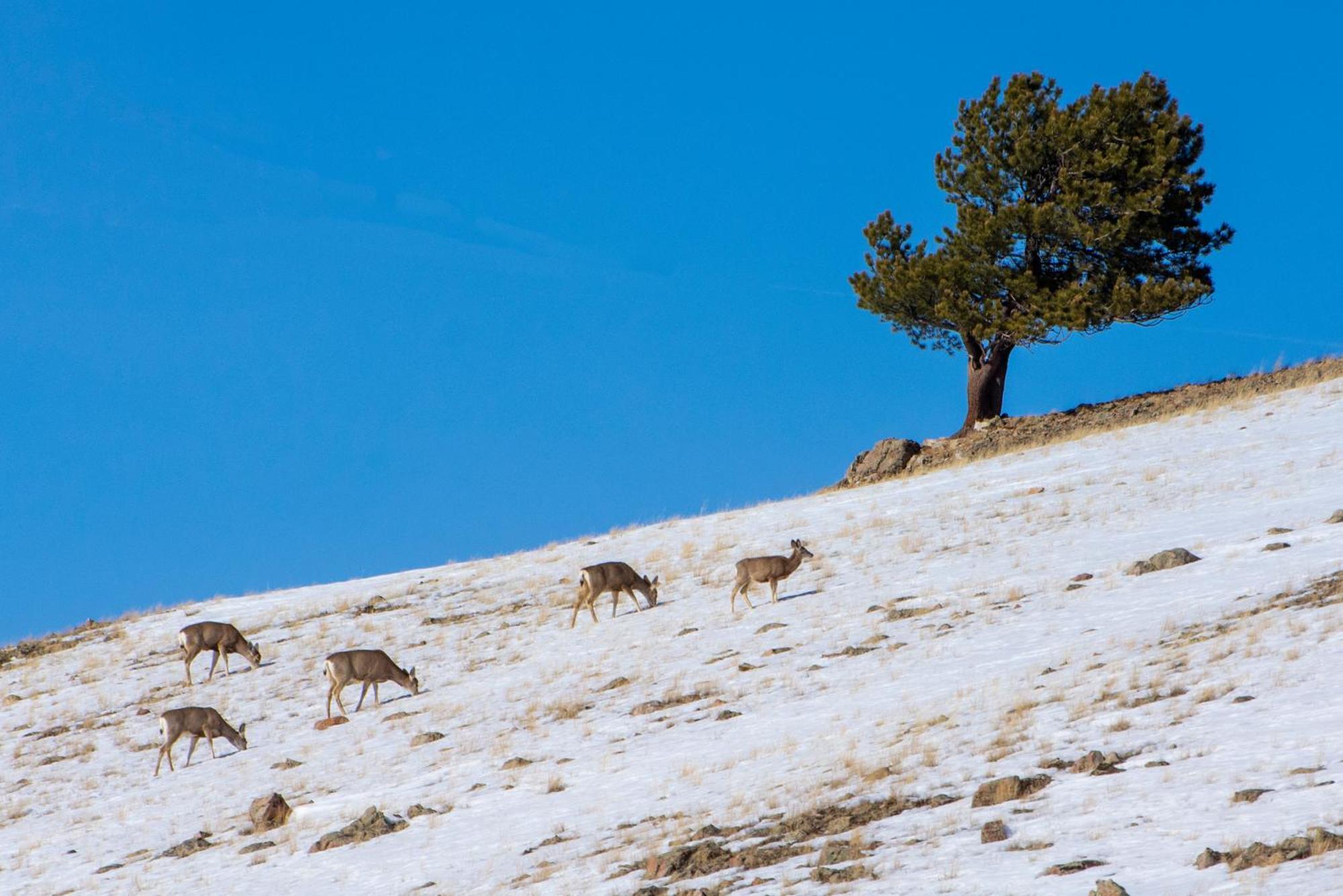 Sundog Condo In Granby Ranch Buitenkant foto